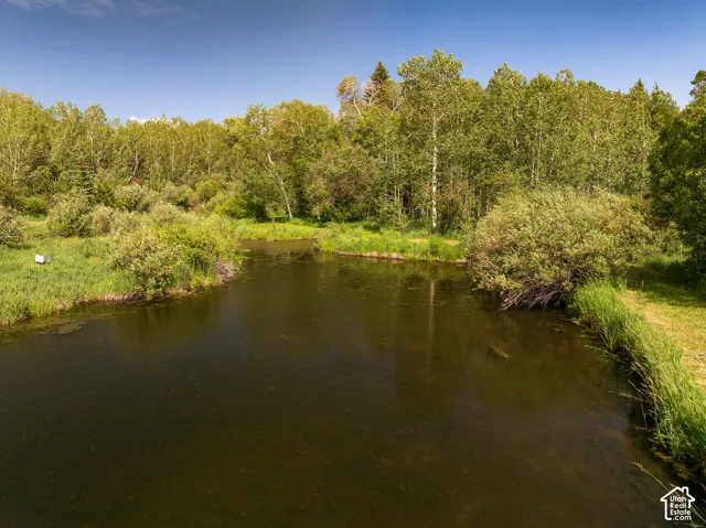 Natural water feature surrounded by lush green foliage and mature trees