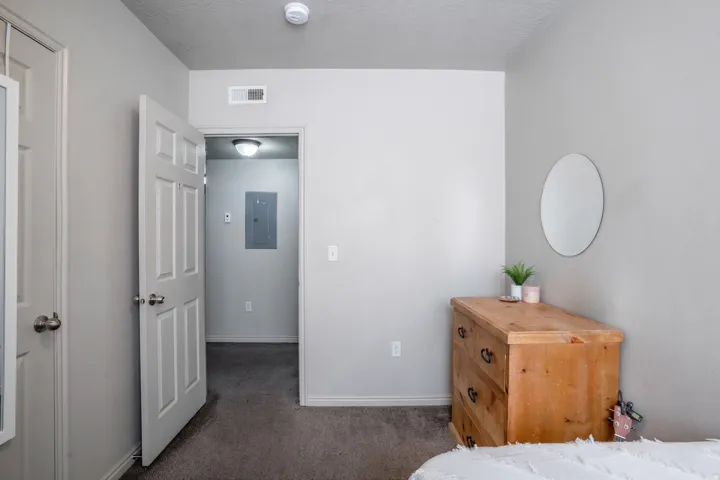 Neutral wall colors with carpeted flooring, featuring a paneled interior door, a ceiling-mounted smoke detector, and a flush-mount ceiling light fixture in the hallway