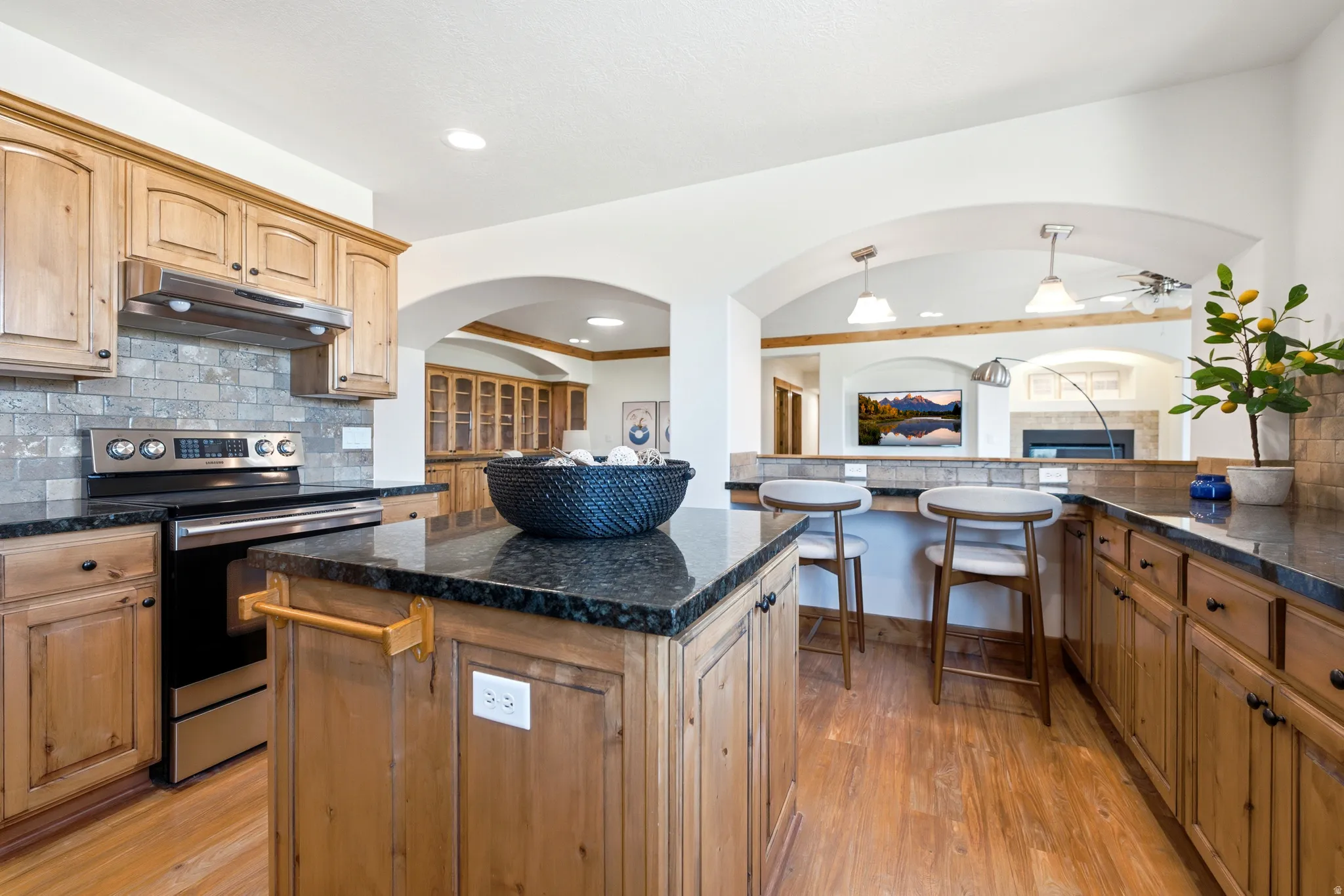 Kitchen featuring wood-finish flooring and cabinetry, dark stone countertops, a tile backsplash, and stainless steel appliances