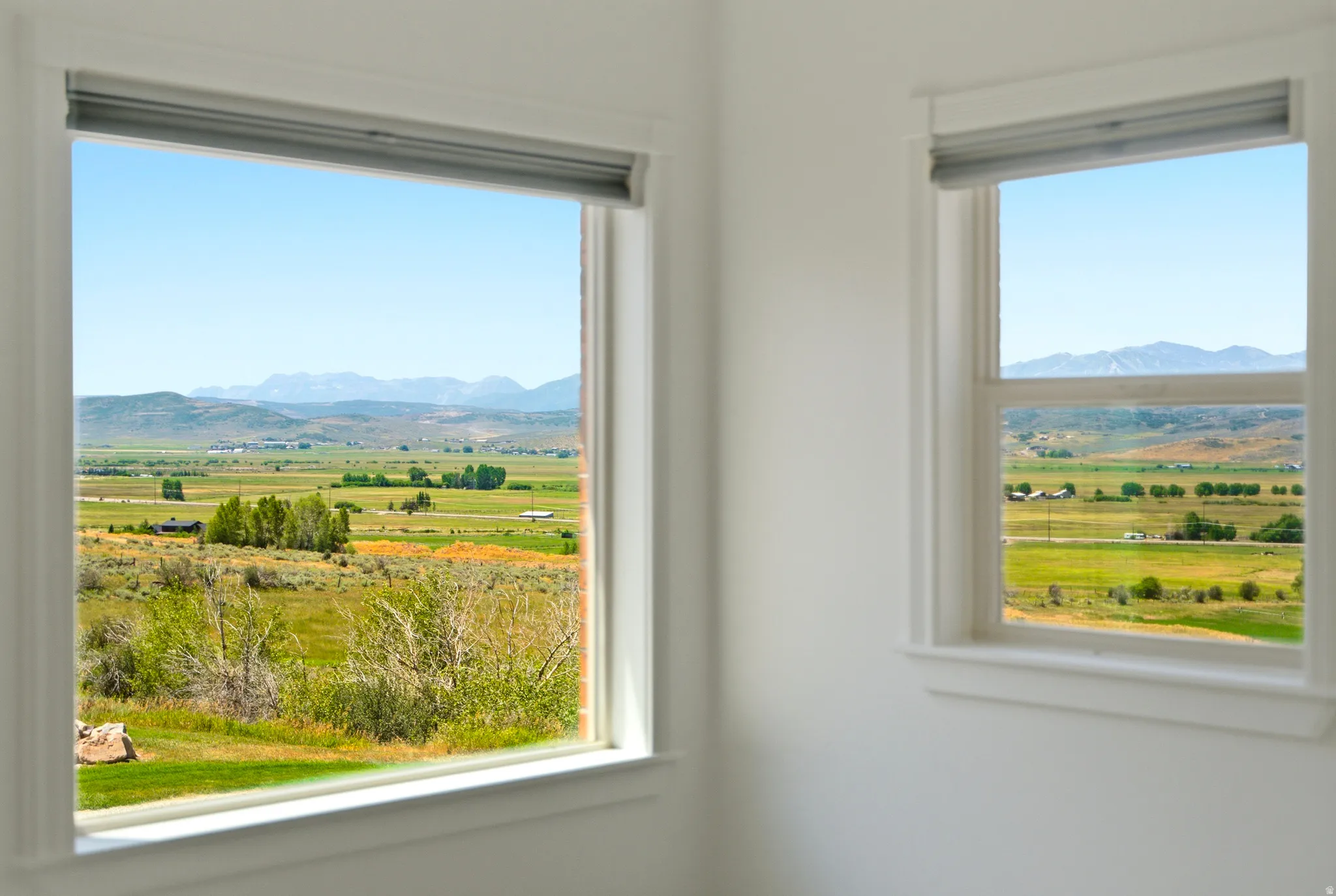 Dual windows featuring crisp white trim and integrated window treatments