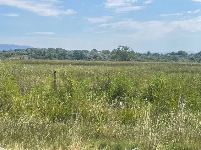 Expansive open land featuring natural grasses and distant foliage under an open sky