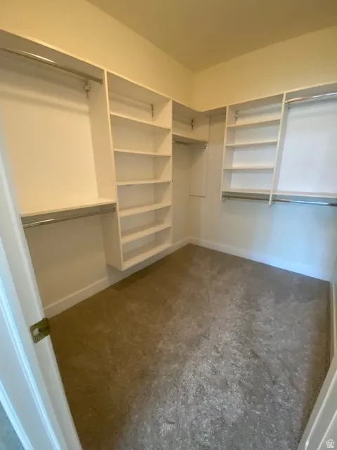Built-in shelving, hanging rods, and carpet flooring within a walk-in closet