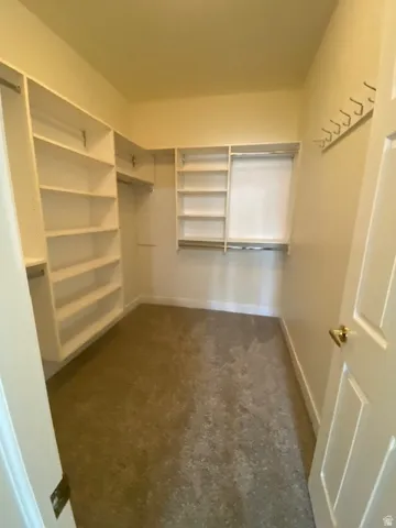 Walk-in closet with extensive built-in shelving, hanging rods, and carpet flooring