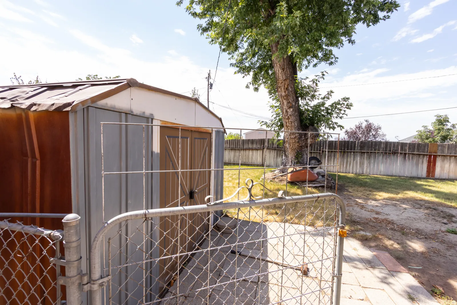 Fenced backyard featuring a storage shed with a corrugated metal roof and a mature tree