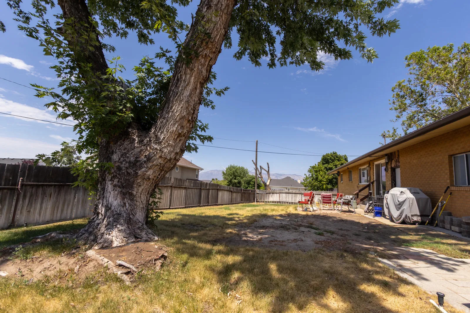 Expansive backyard featuring a mature tree, wood fencing, and a patio area