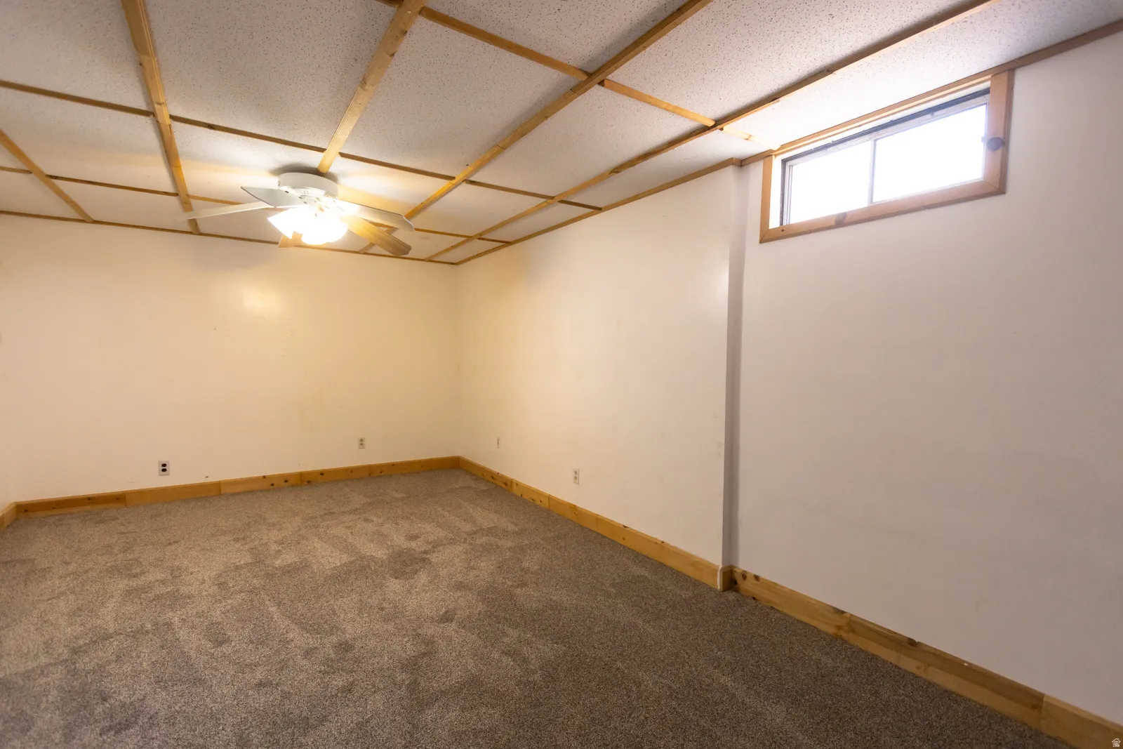 Carpeted room featuring a drop ceiling with wood-finish trim, a ceiling fan with integrated lighting, and a single window with wood trim
