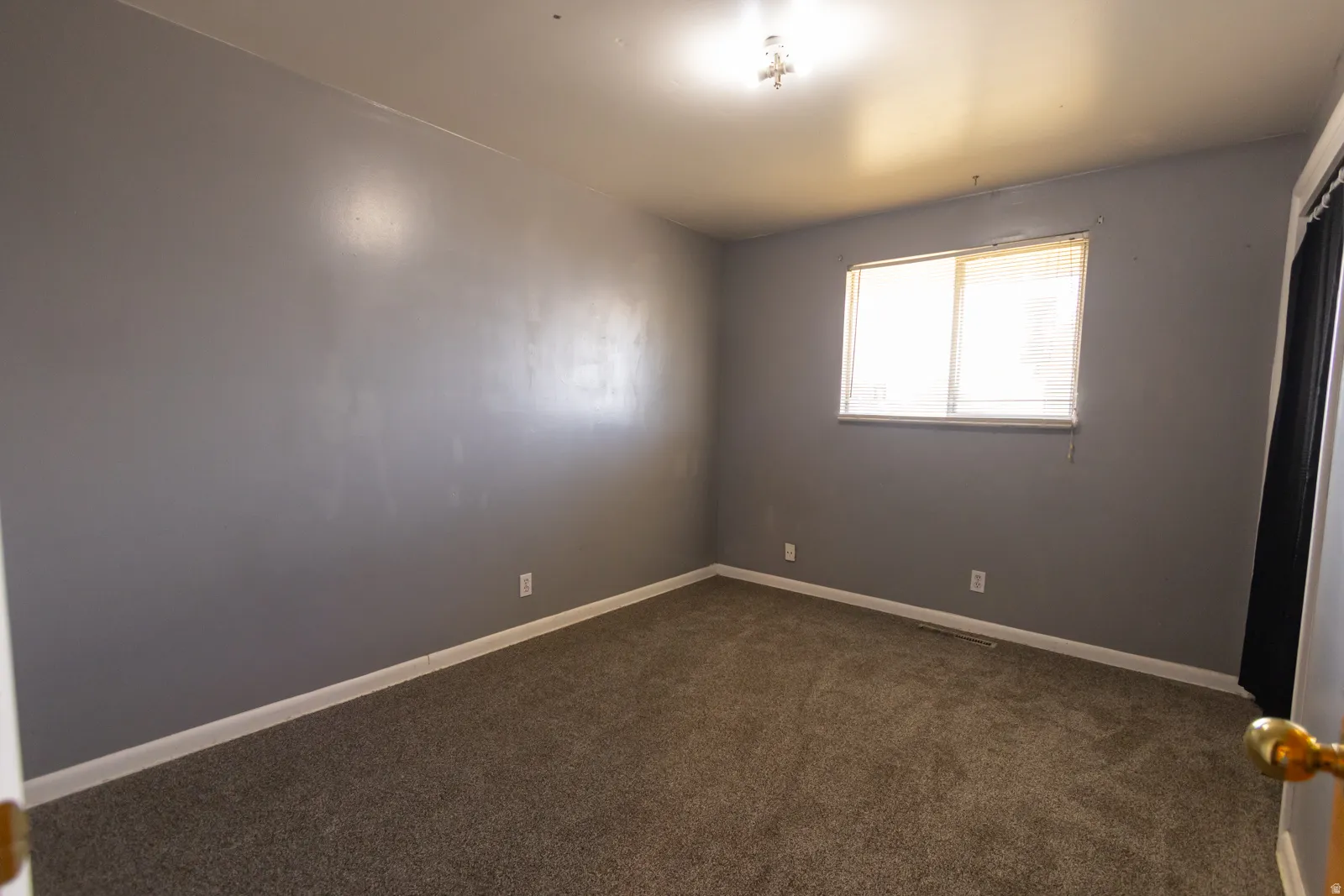 Carpeted room featuring a single window and neutral gray walls