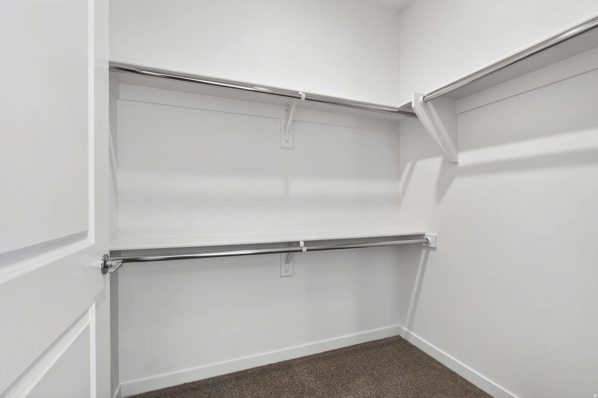 Walk-in closet featuring white walls, white shelving, chrome hanging rods, and dark brown carpeting