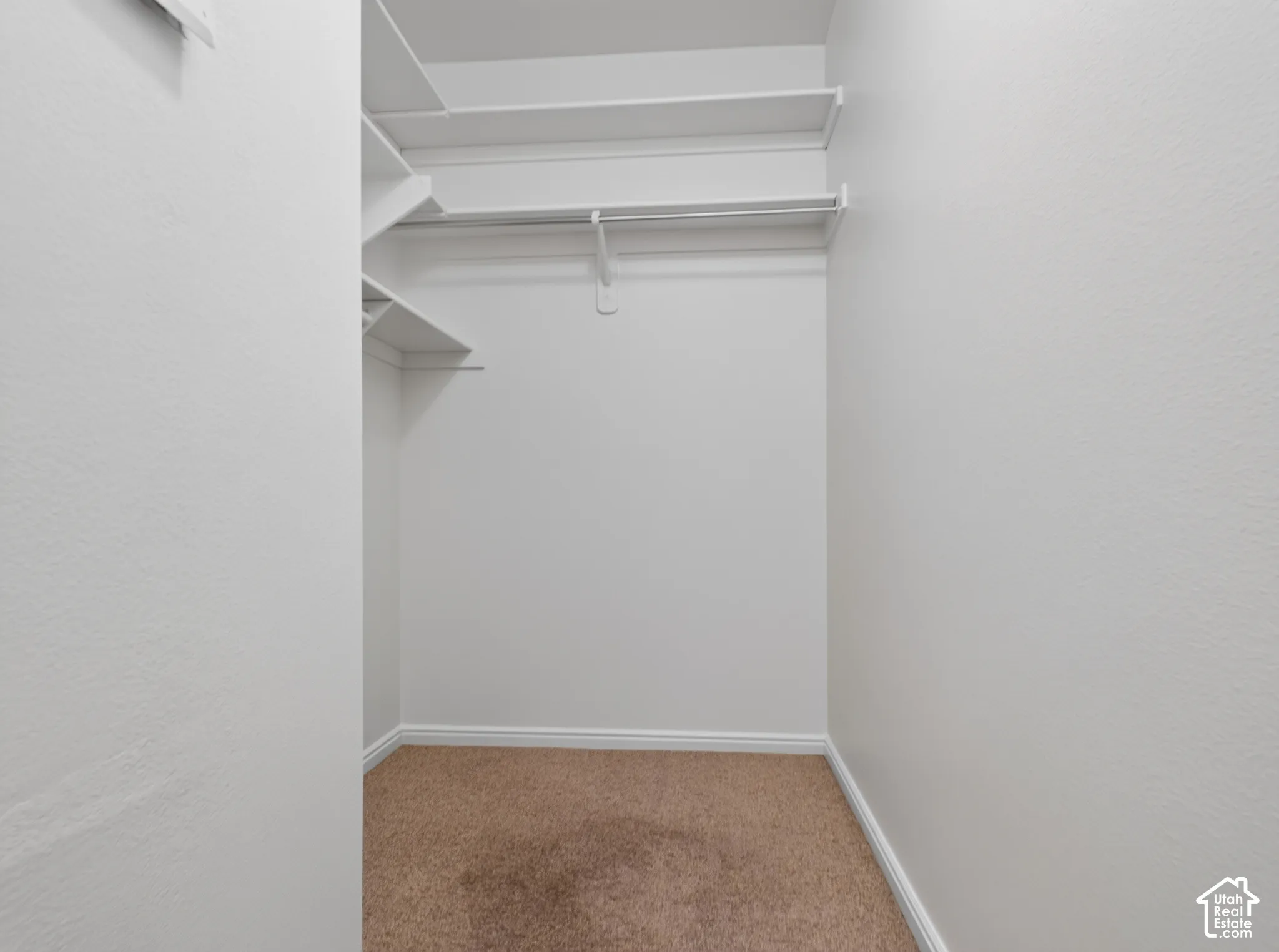 Walk-in closet featuring built-in shelving, hanging rods, and carpet flooring