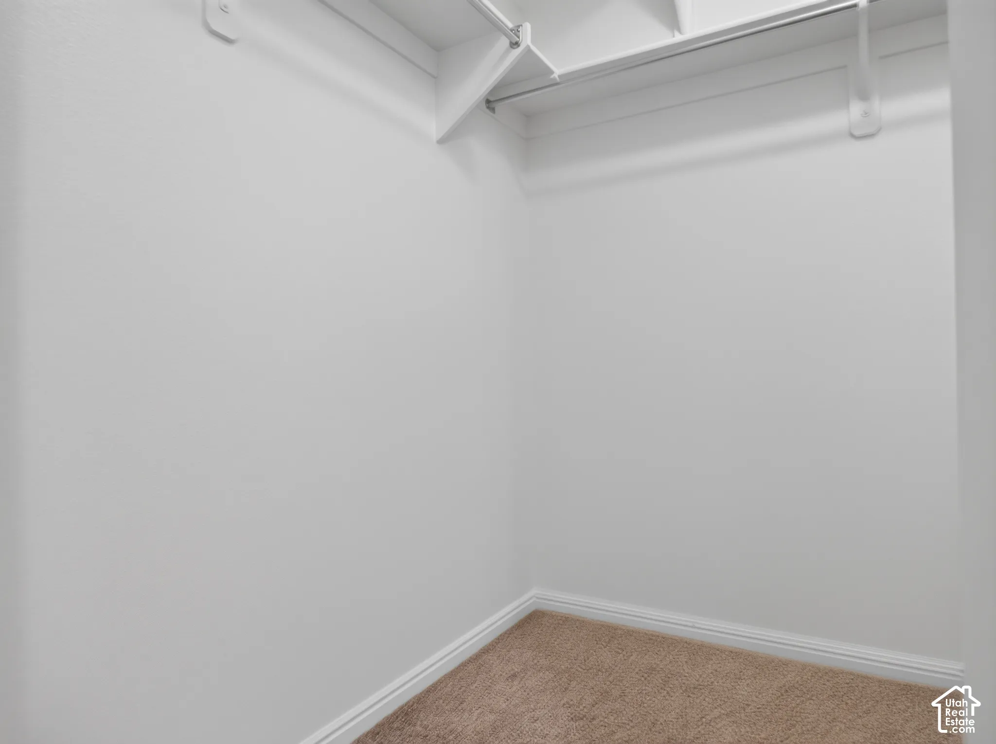 Carpeted closet space featuring a built-in hanging rod and overhead shelving