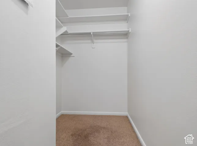 Walk-in closet featuring built-in shelving, hanging rods, and carpet flooring