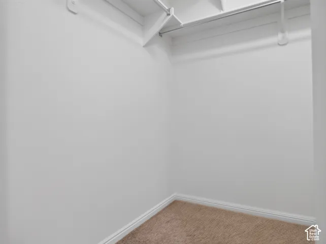 Carpeted closet space featuring a built-in hanging rod and overhead shelving