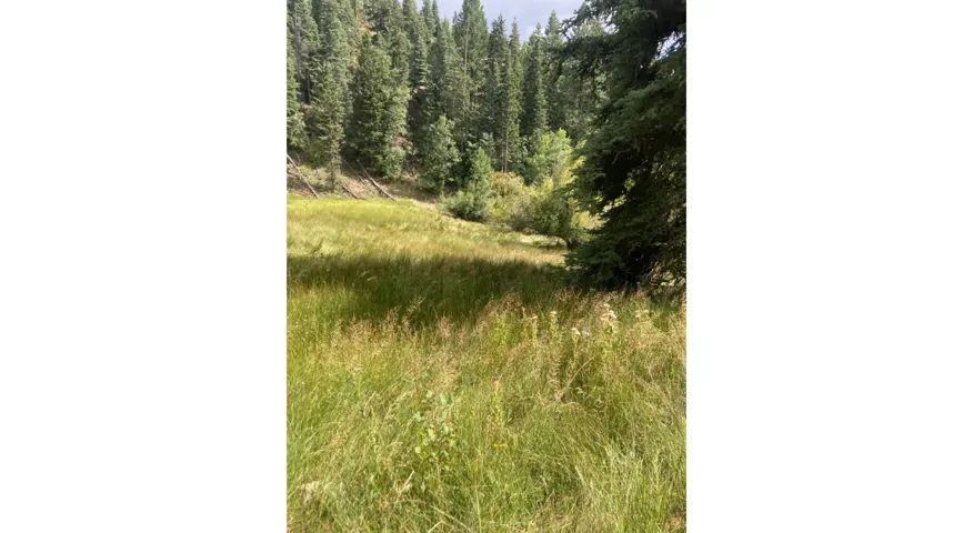 Expansive natural landscape featuring a gently sloping, grass-covered terrain