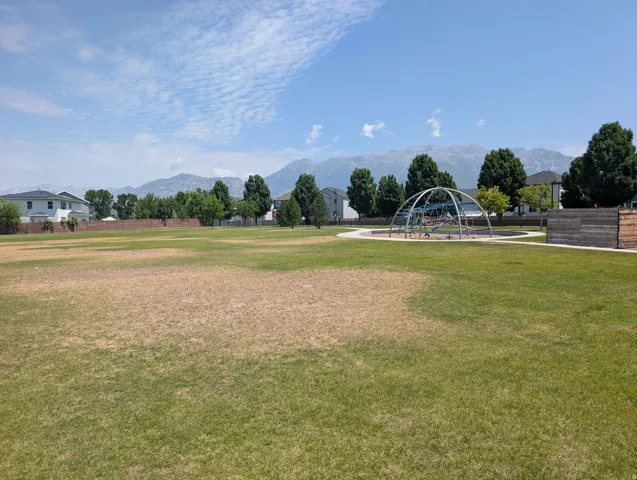 Expansive green space featuring a geometric climbing structure, paved pathway, and mature trees