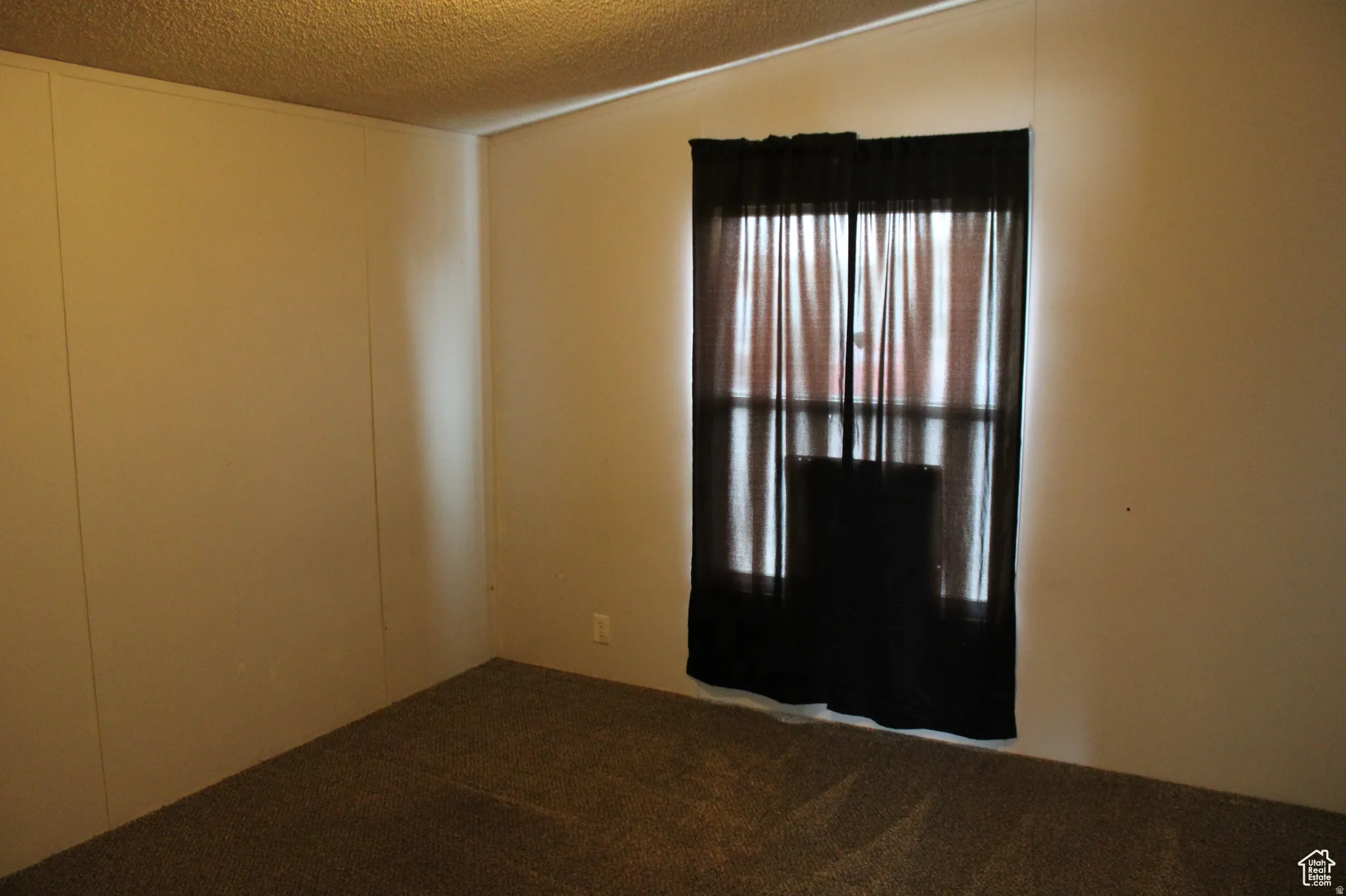 Room featuring light-colored paneled walls, a textured ceiling, and carpeting