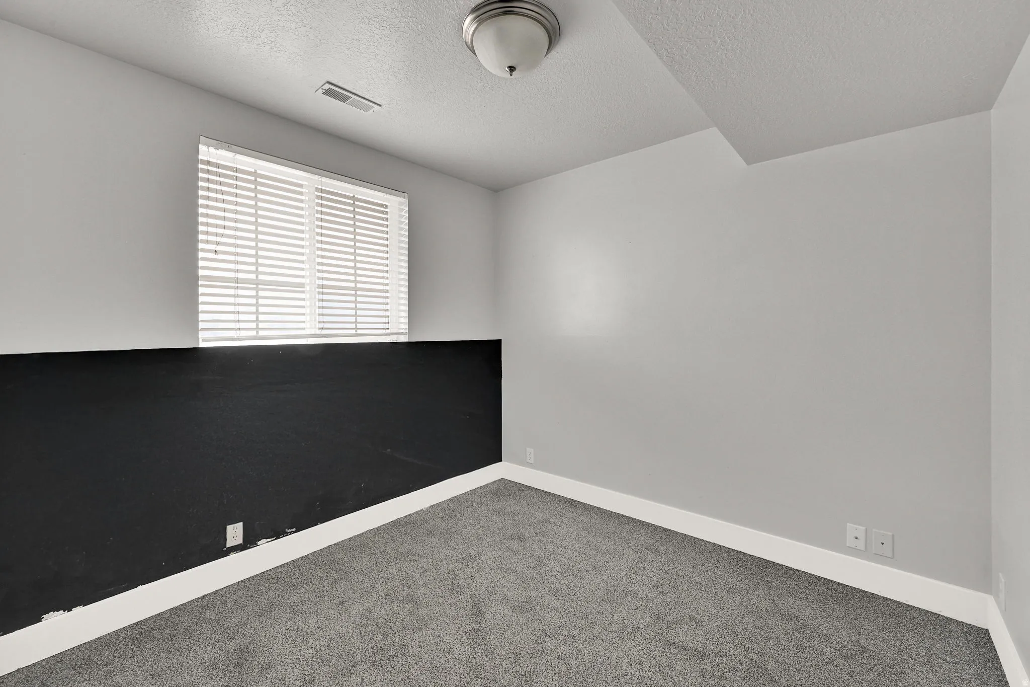 Carpeted room featuring a window with white blinds, a two-tone wall design with a black lower section and light gray upper section, white trim, and a ceiling-mounted light fixture