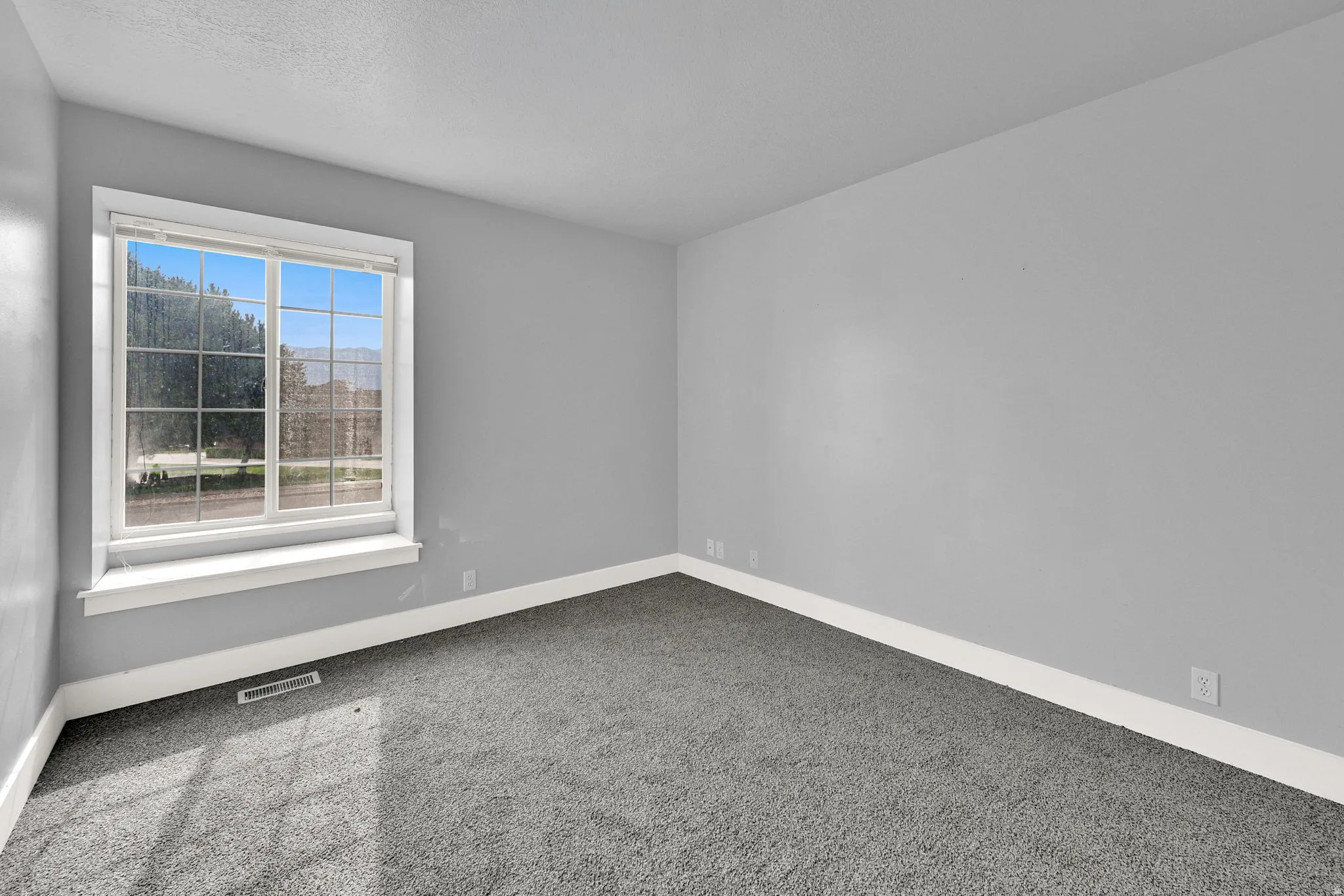 Bedroom featuring a large multi-pane window, neutral gray walls, and plush gray carpeting