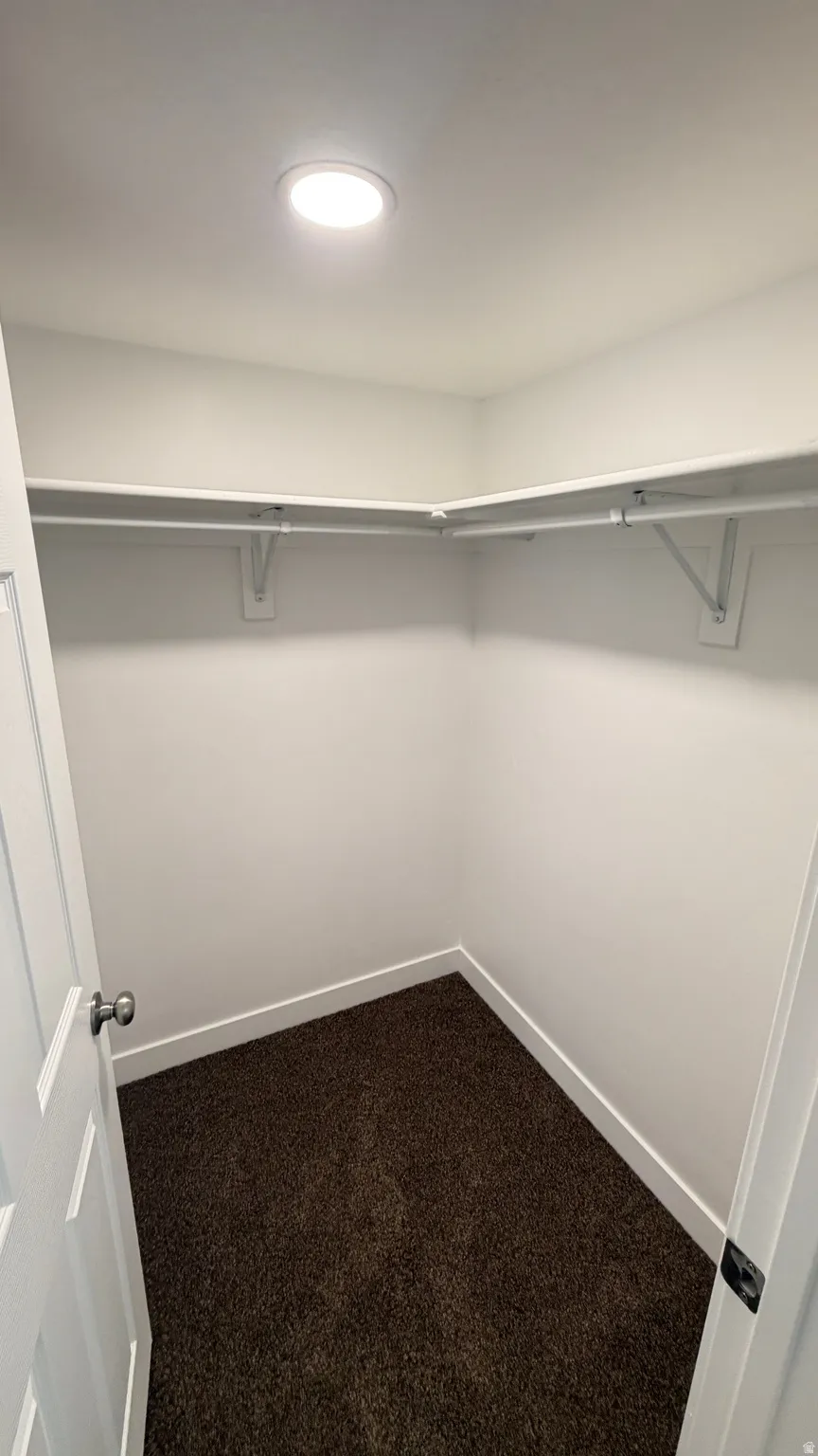 Walk-in closet featuring built-in shelving, hanging rods, recessed ceiling light, white trim, and brown carpet flooring