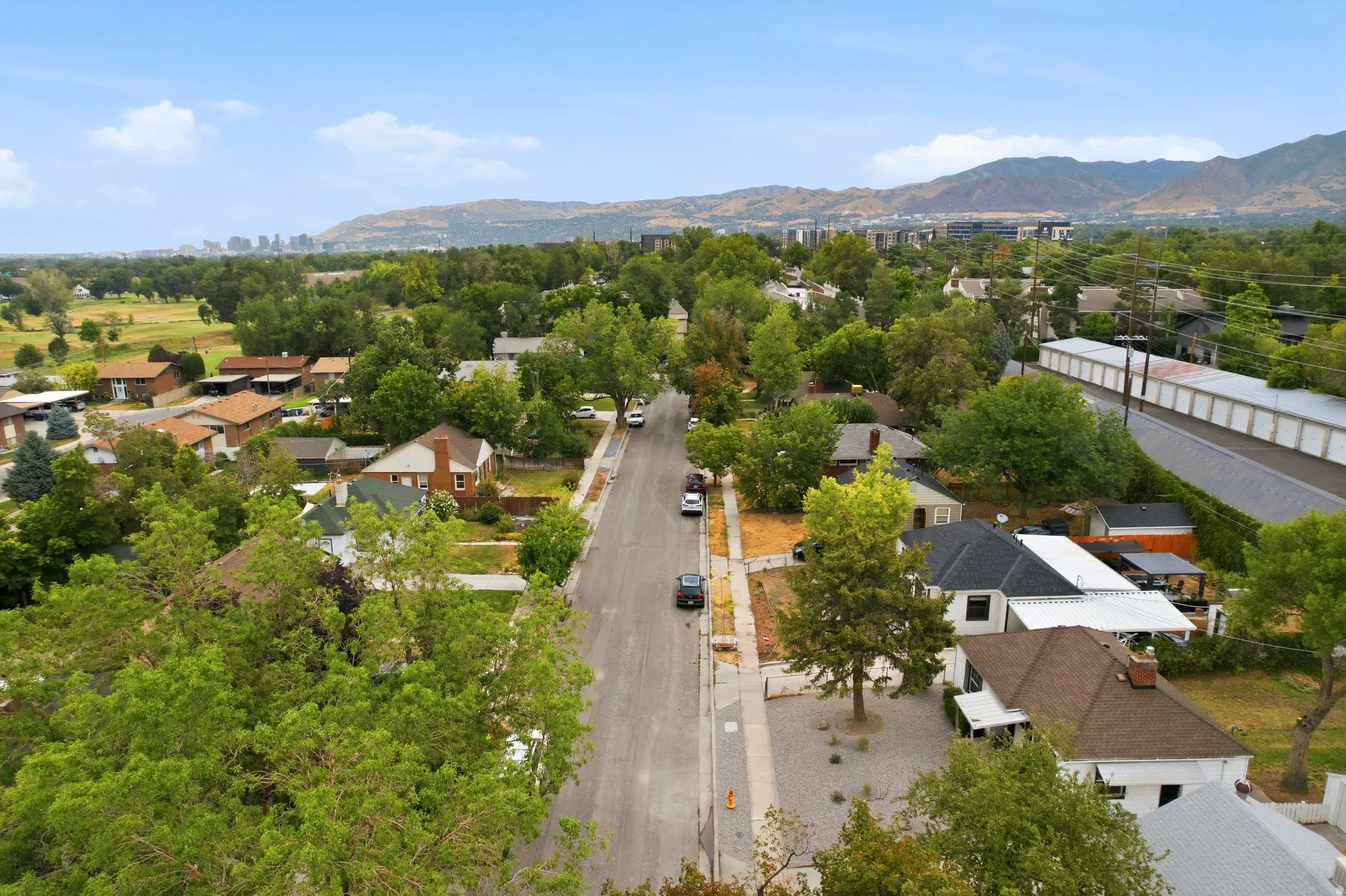 Residential street with mature trees and established homes, framed by distant mountains and a city skyline