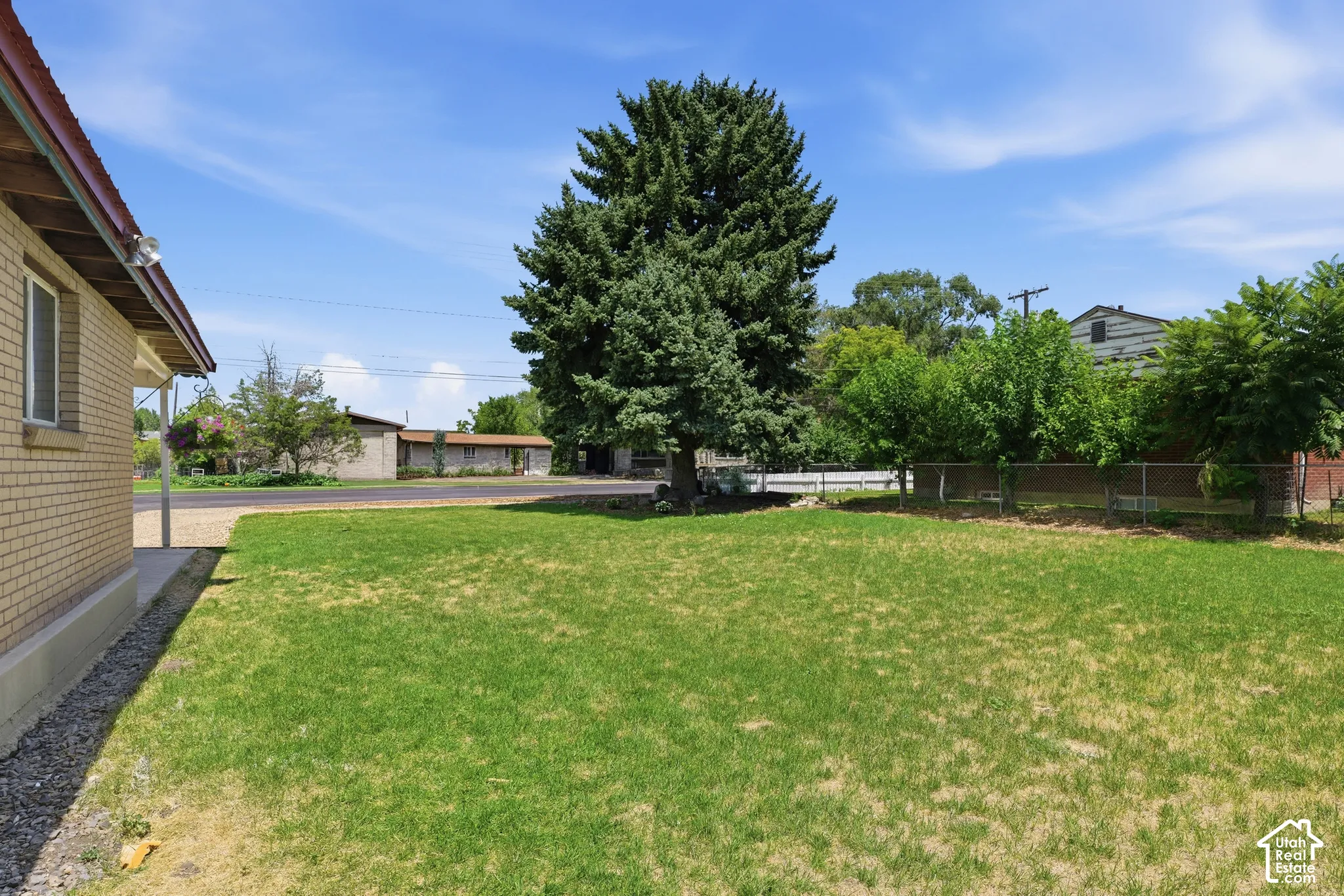 Expansive lawn with a mature evergreen tree and surrounding foliage