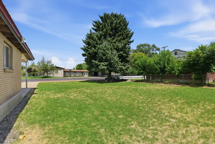 Expansive lawn with a mature evergreen tree and surrounding foliage