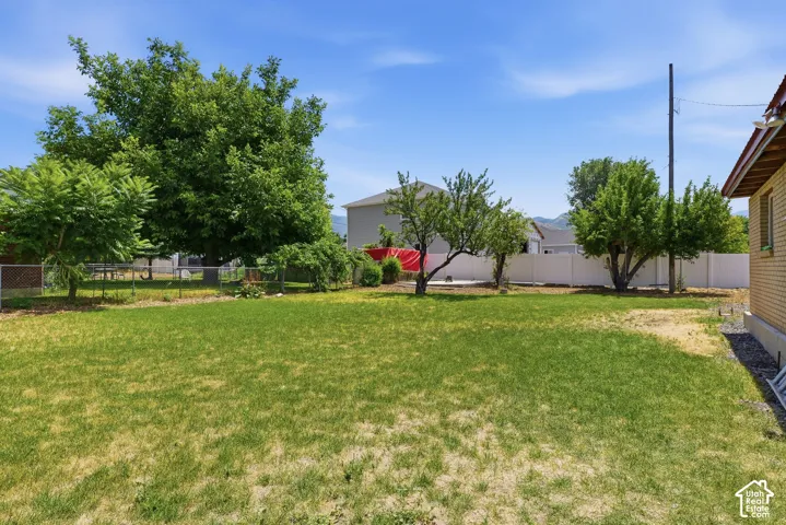 Spacious backyard featuring a large lawn area, mature trees, and a white vinyl privacy fence