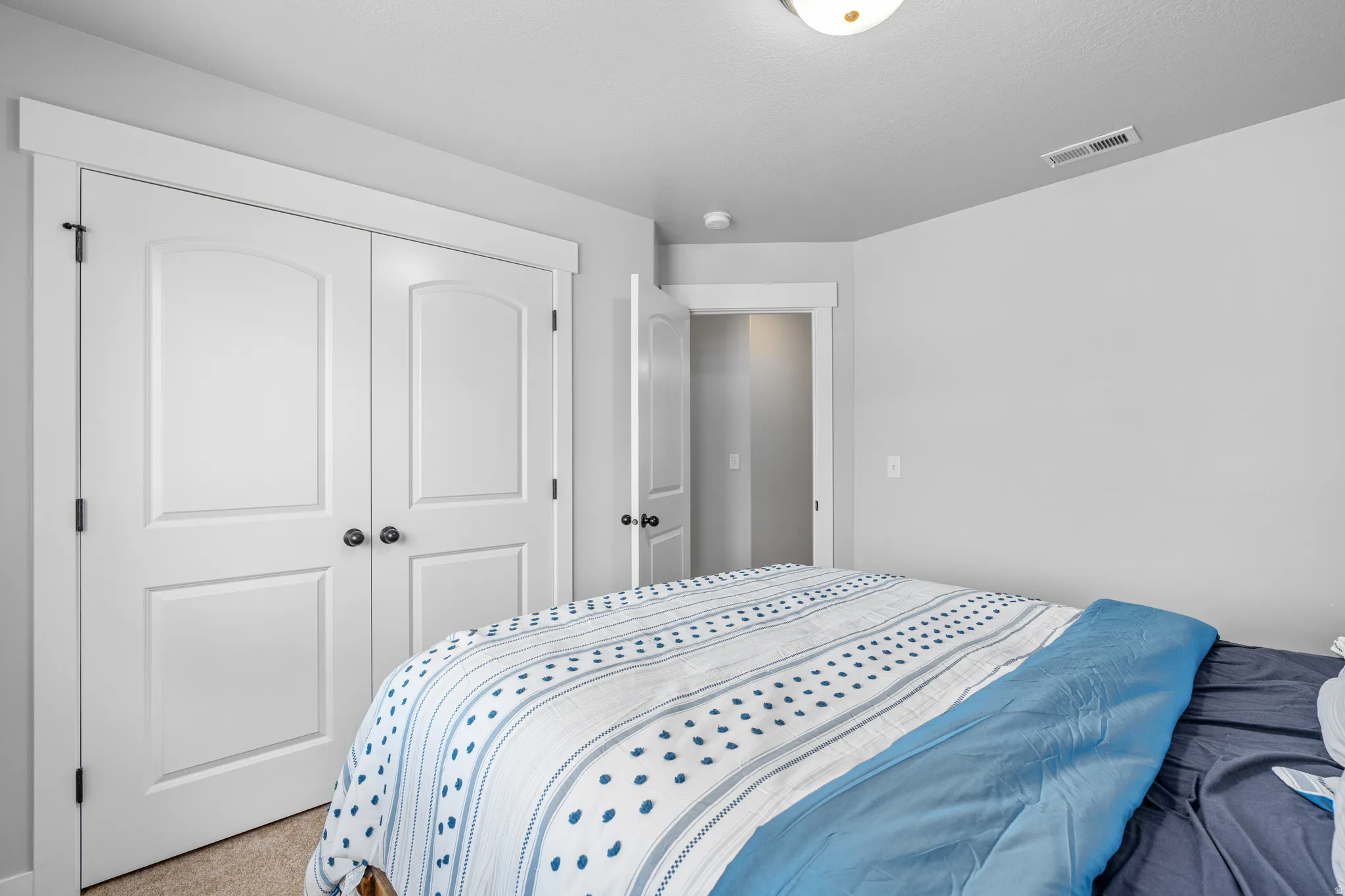Double panel arched doors with dark hardware, framed by white trim
