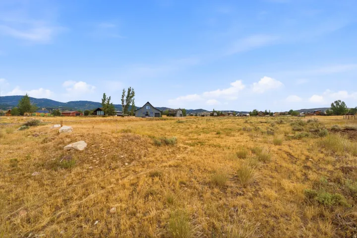 Expansive open land with a distinct horizon, featuring scattered shrubbery and natural rock formations