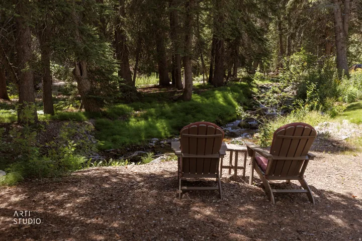 Stream-side setting featuring mature evergreen trees and natural ground cover