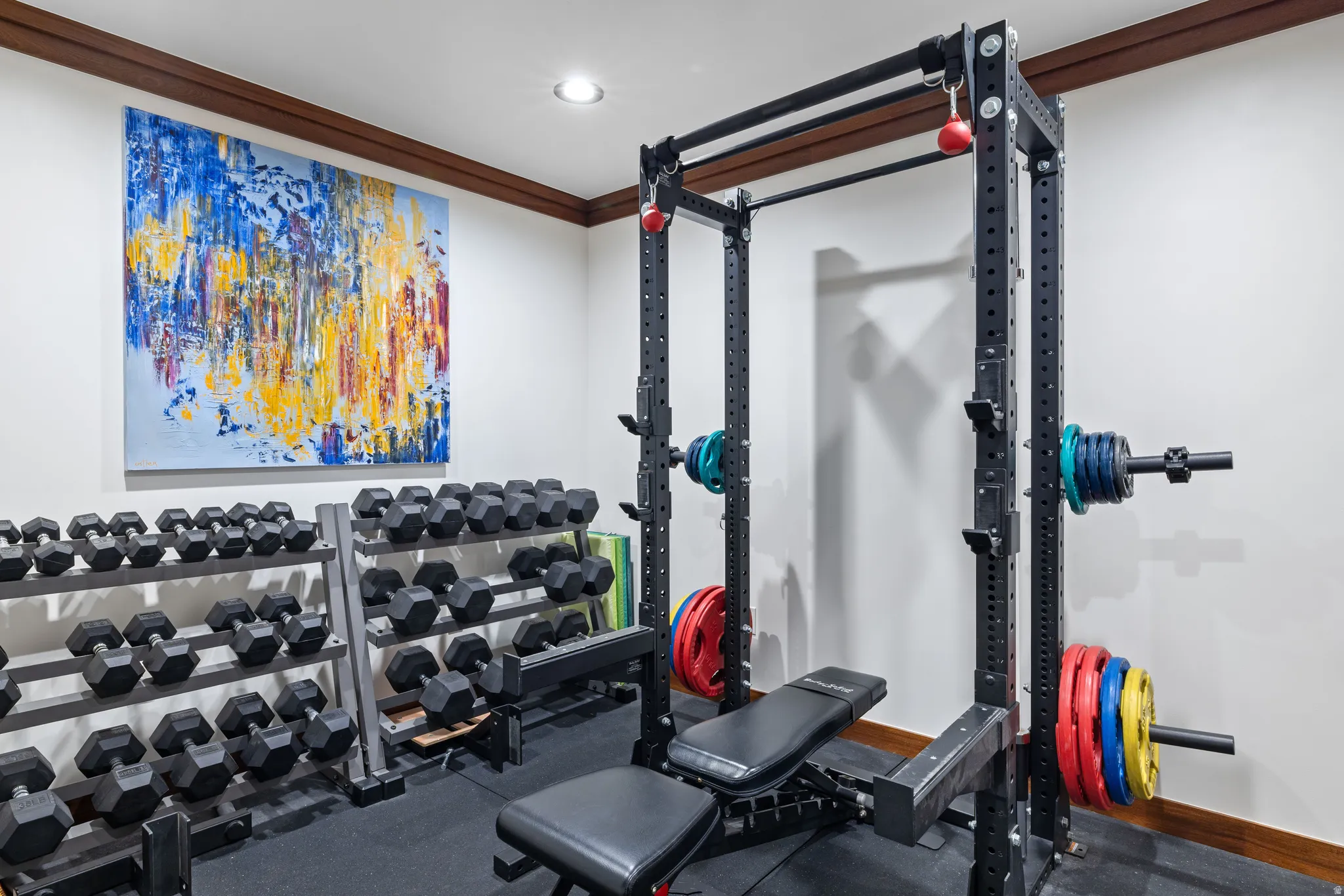 Dedicated fitness space featuring rubber flooring, a power rack, and dumbbell storage