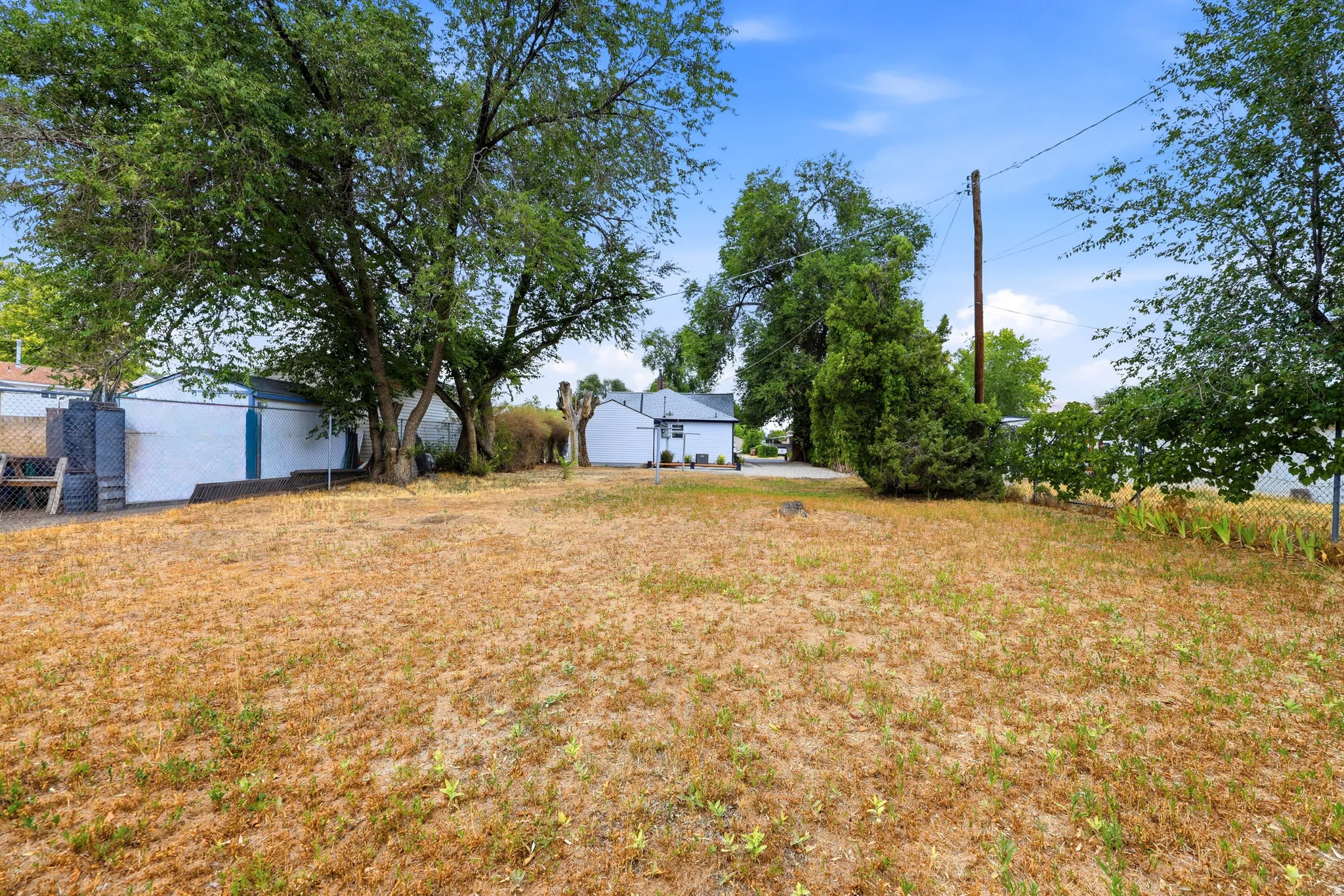 Expansive undeveloped lot featuring mature trees and a chain-link fence