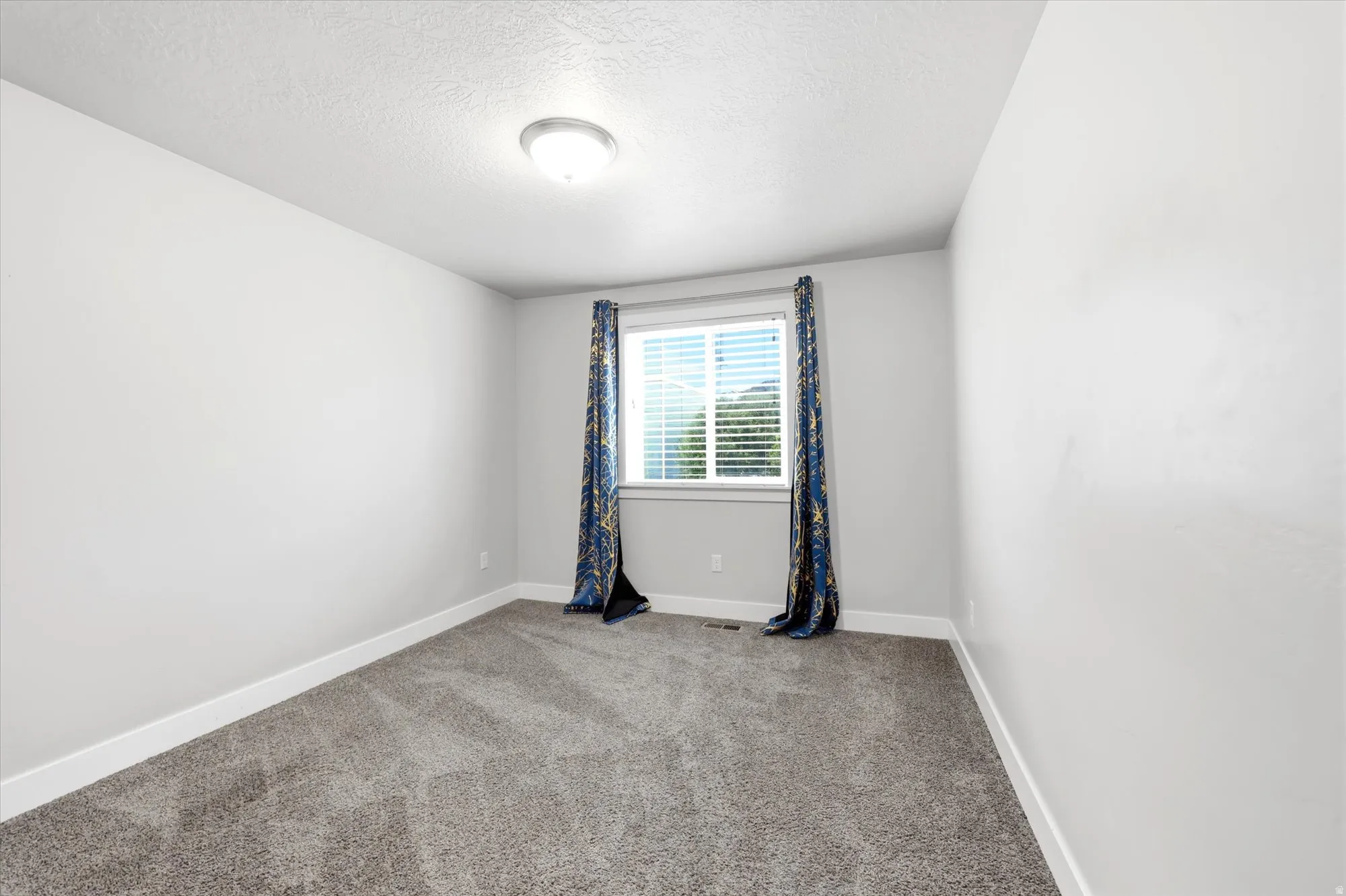 Carpeted room with a central window, white baseboards, light gray wall paint, and a ceiling-mounted light fixture