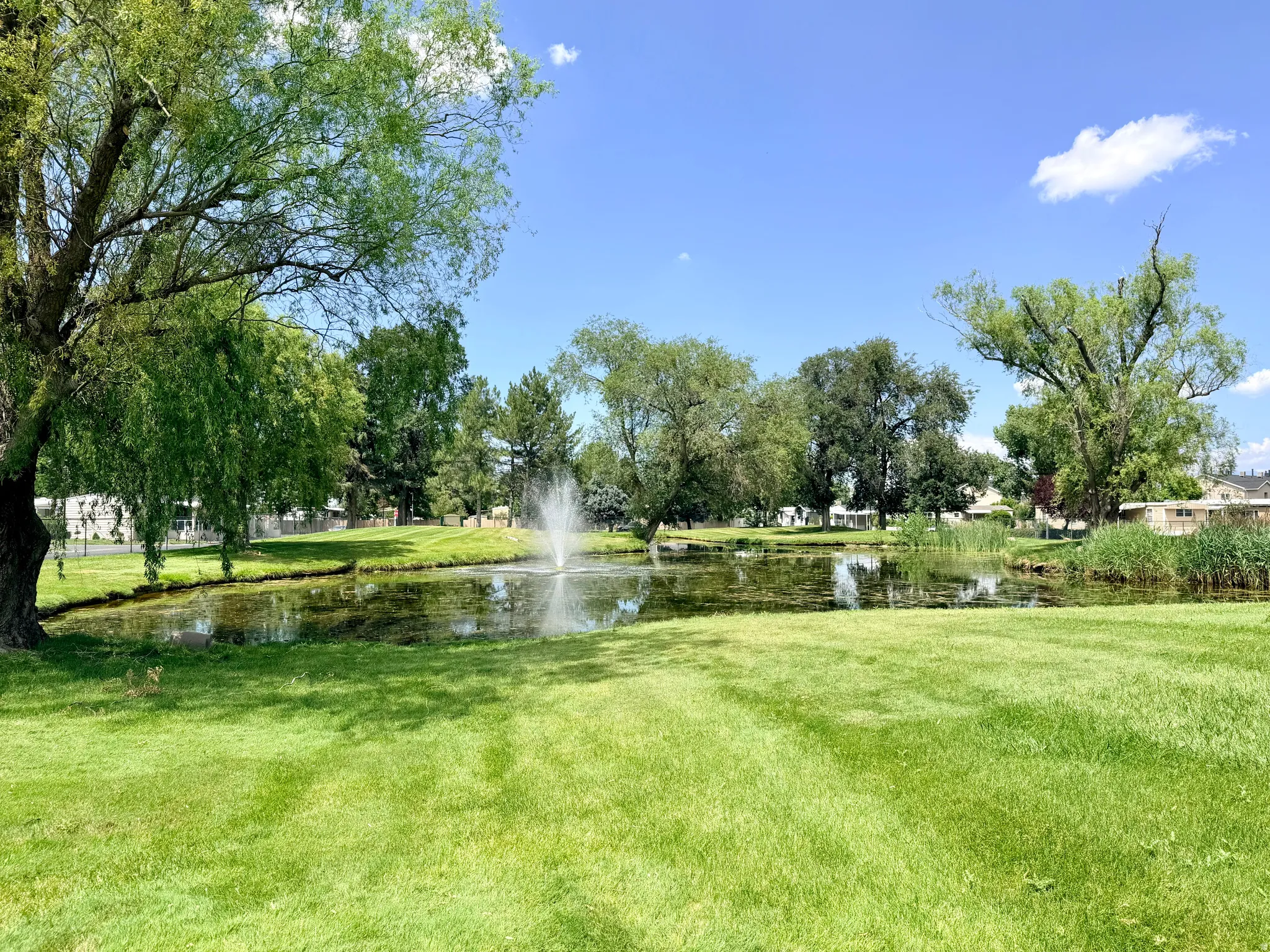 Expansive green space featuring a pond with an active fountain