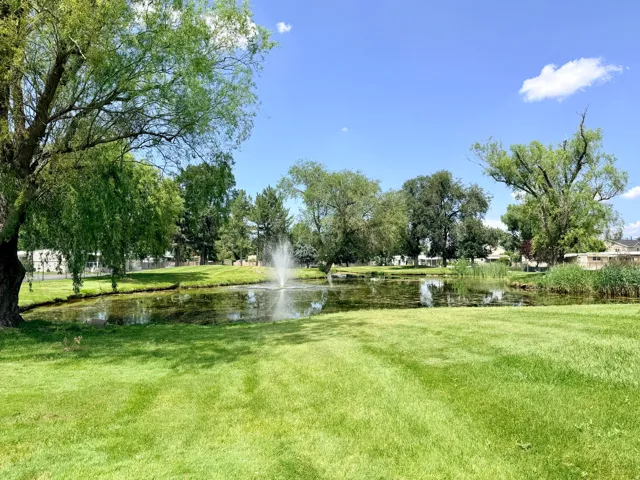 Expansive green space featuring a pond with an active fountain