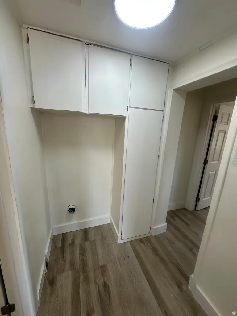 Utility area featuring ample white cabinetry, wood-finish flooring, a flush-mount ceiling light, and wall-mounted plumbing connections