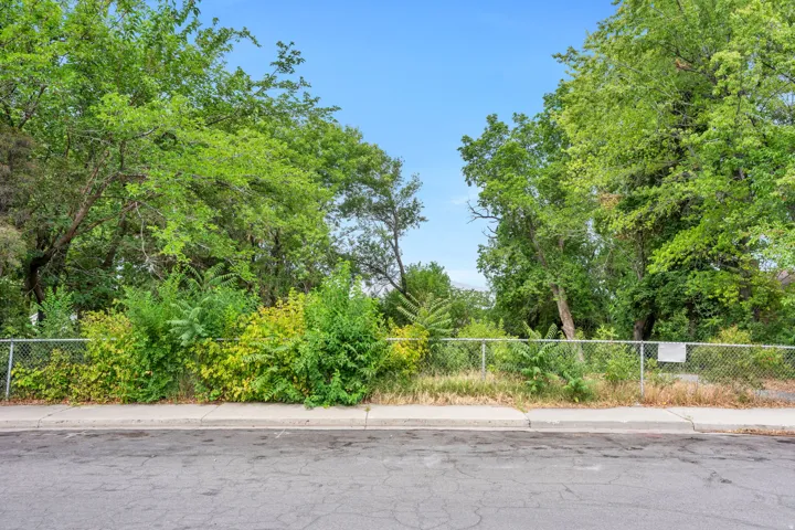 Expansive undeveloped lot featuring mature trees and lush vegetation