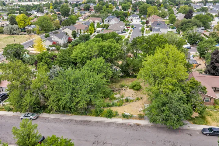 Expansive undeveloped lot featuring mature trees and street frontage