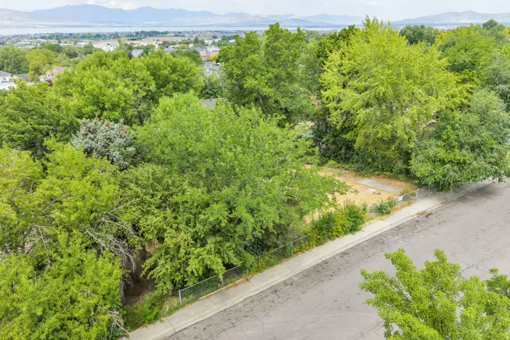 Property parcel featuring a paved street frontage, mature trees, and a distant body of water with mountains on the horizon