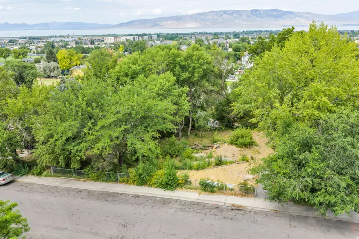 Expansive lot featuring mature trees and a partial chain-link fence