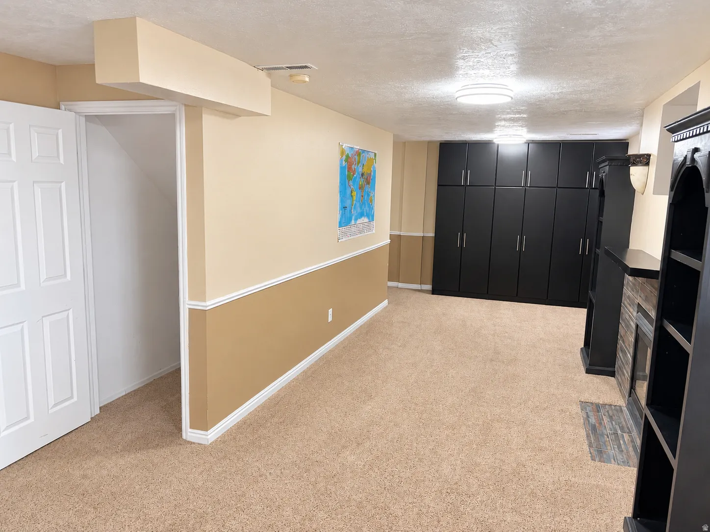 Carpeted flooring, built-in storage cabinetry, decorative wall paneling, and ceiling-mounted light fixtures