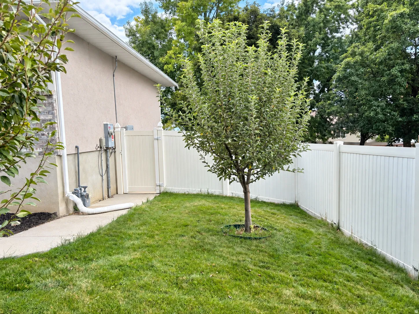 Grassed side yard featuring a young tree, white vinyl fencing, and a stucco exterior