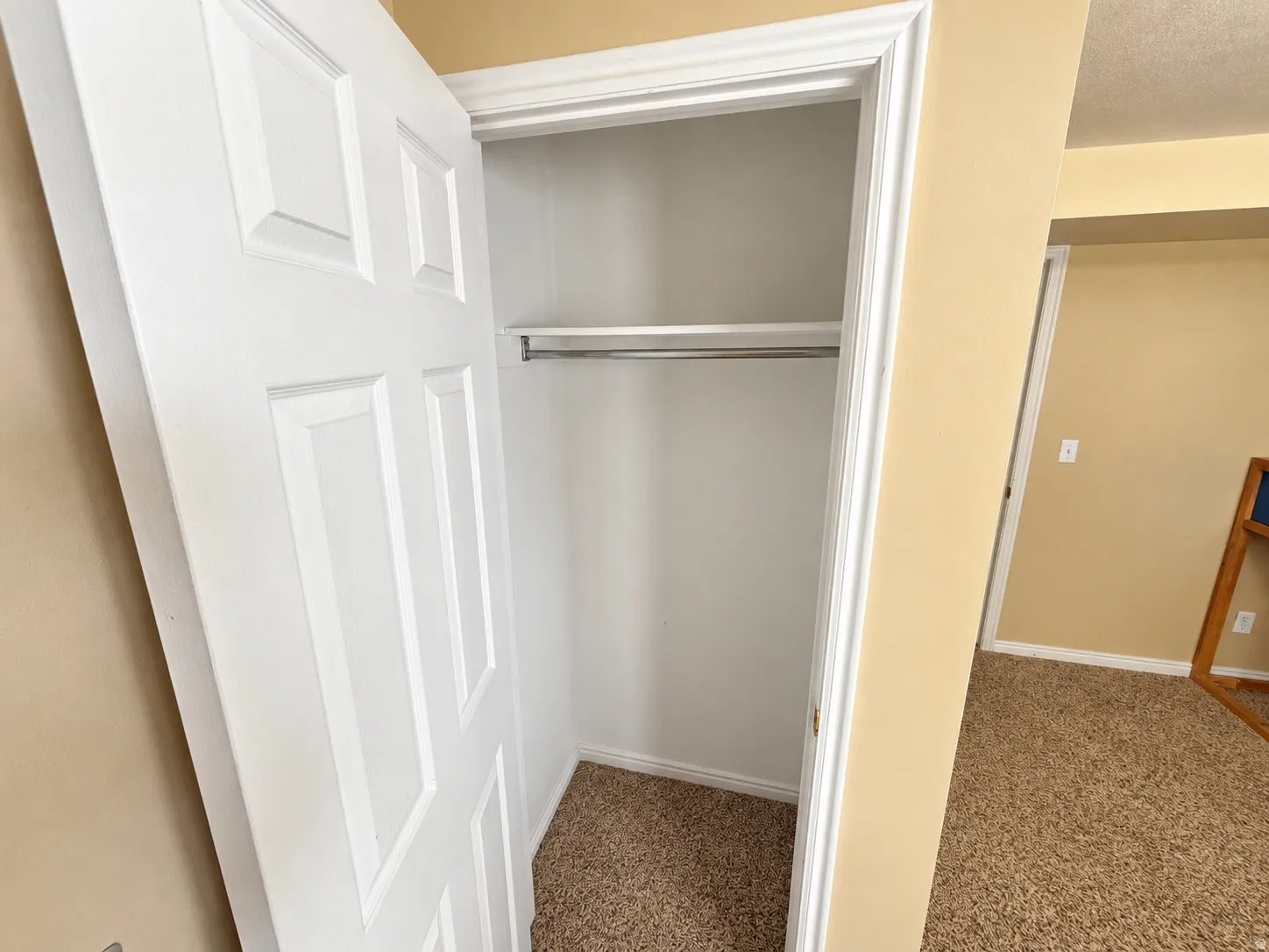 Integrated closet with a metal hanging rod and neutral carpeting