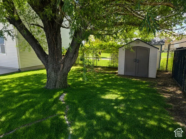 Backyard.  Grass digitally aided.