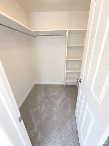 Walk-in closet featuring white built-in shelving, two clothing rods, and grey carpet flooring