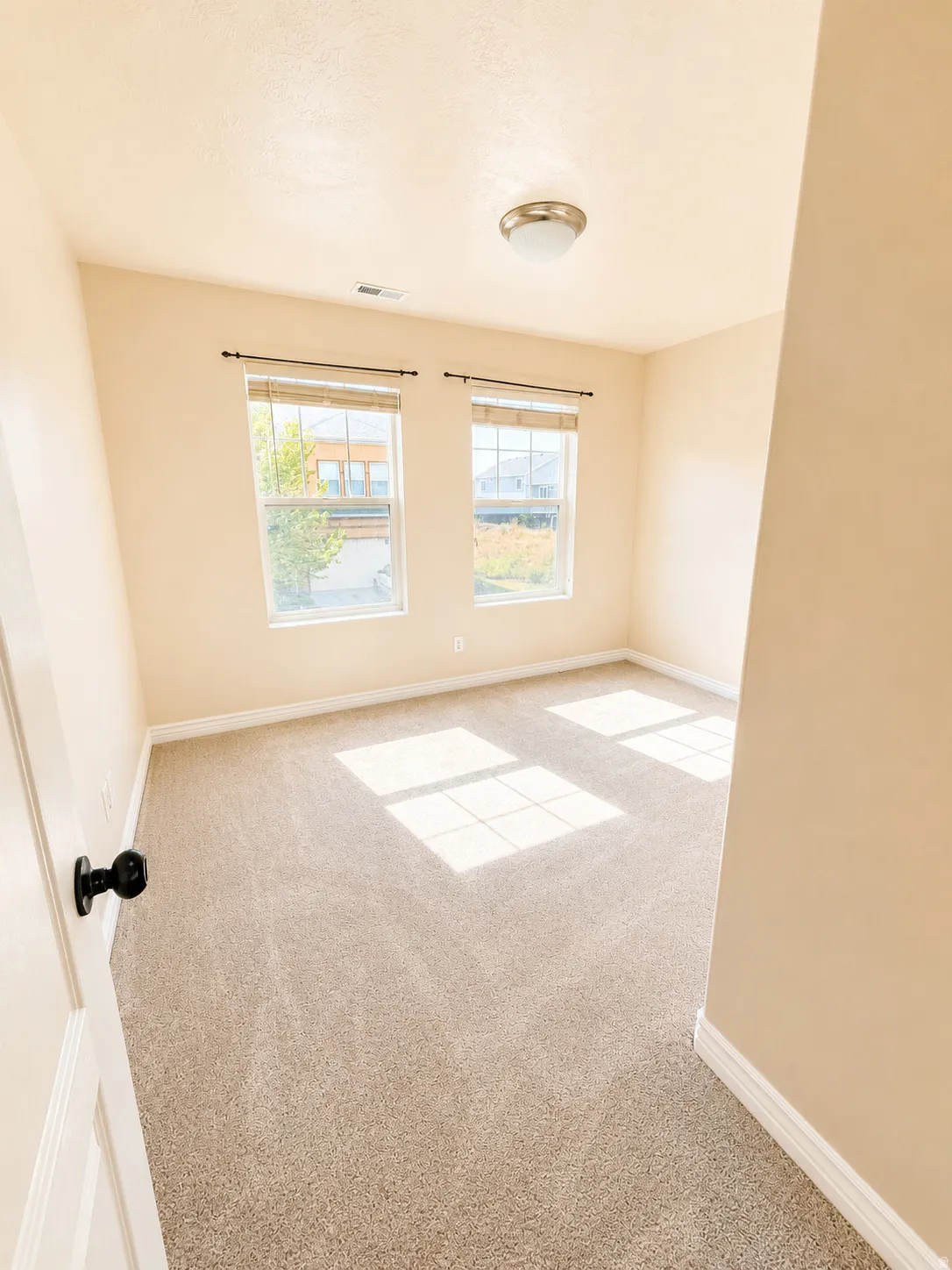 Room featuring neutral-toned carpet, two windows with blinds, a flush-mount ceiling light, and light beige wall paint