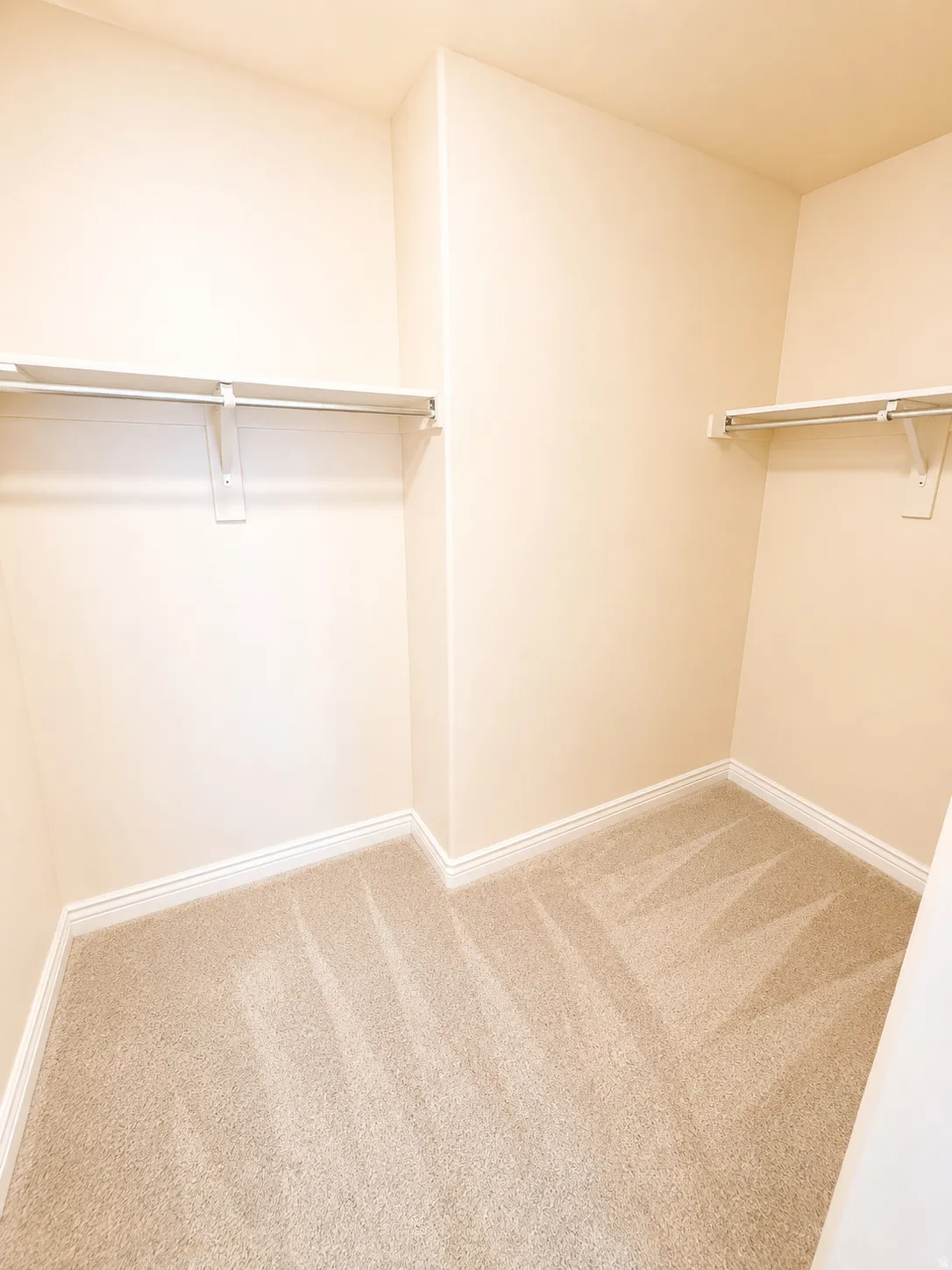 Walk-in closet featuring light beige wall paint, white trim, and light beige carpeting