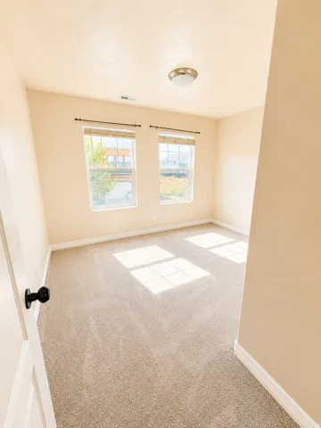 Room featuring neutral-toned carpet, two windows with blinds, a flush-mount ceiling light, and light beige wall paint