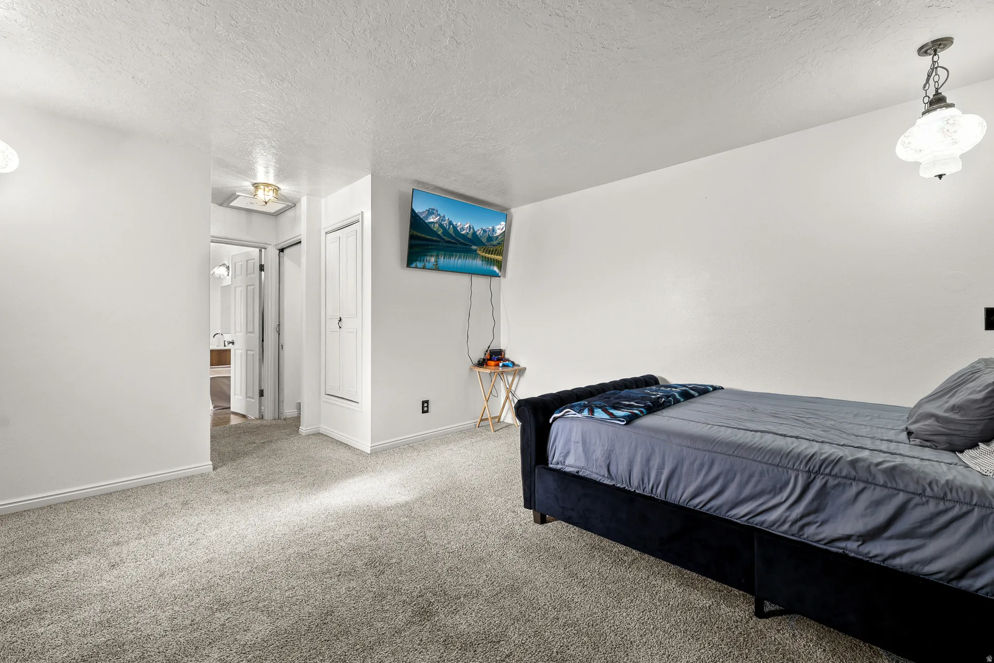 Carpeted room with white walls, featuring a built-in closet and an overhead light fixture