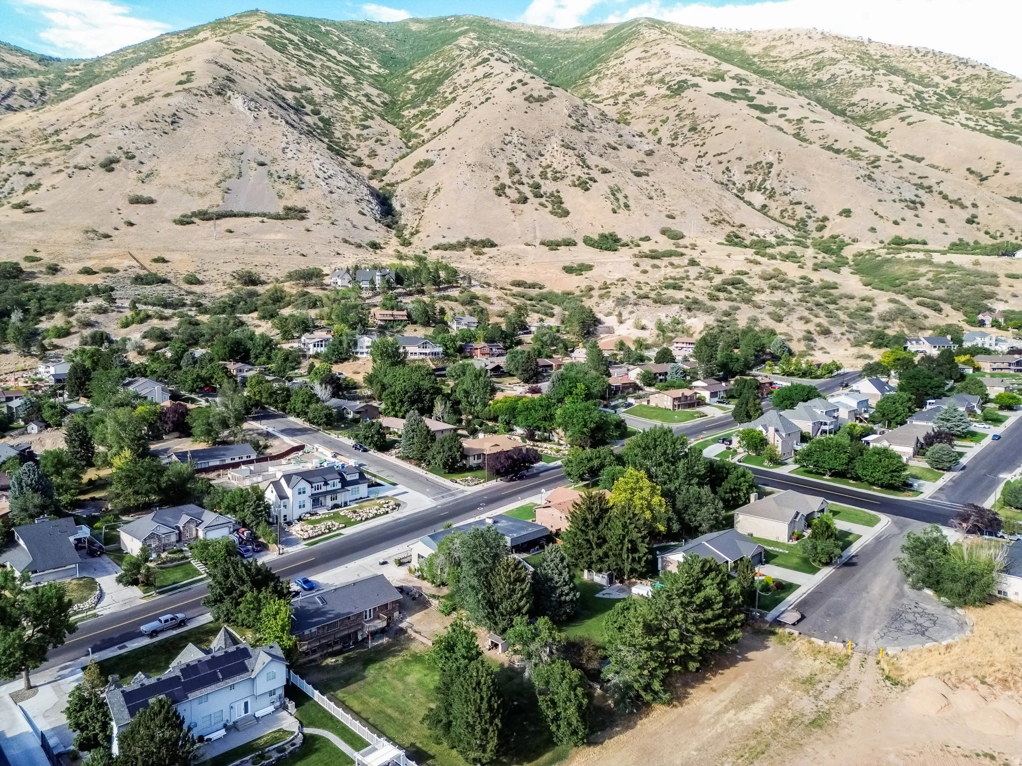 Residential area with mature trees and paved streets, framed by a mountainous background