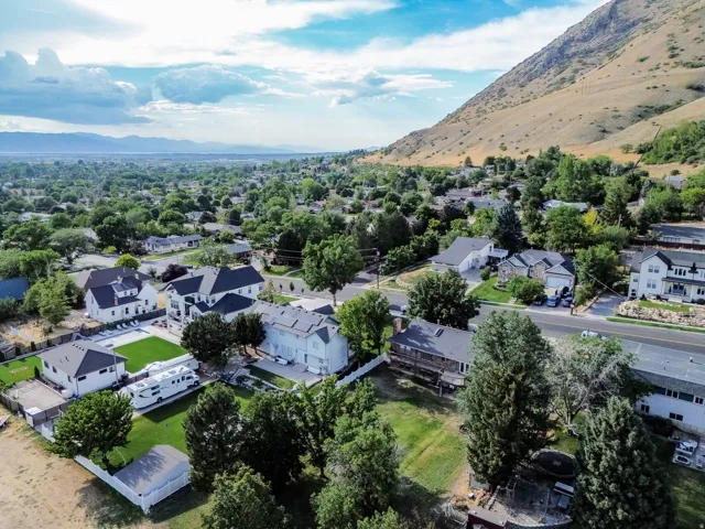 Aerial perspective showcasing a residential neighborhood with varied architectural styles and mature landscaping